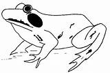 Coloring Pages Frog Animated Gifs Coloringpages1001 Frogs Animals Similar sketch template