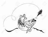 Fishing Lure Pike Vector Illustration Drawing Fish Fisherman Clip Drawings Line Getdrawings Clipart Illustrations Graphics Snakehead sketch template