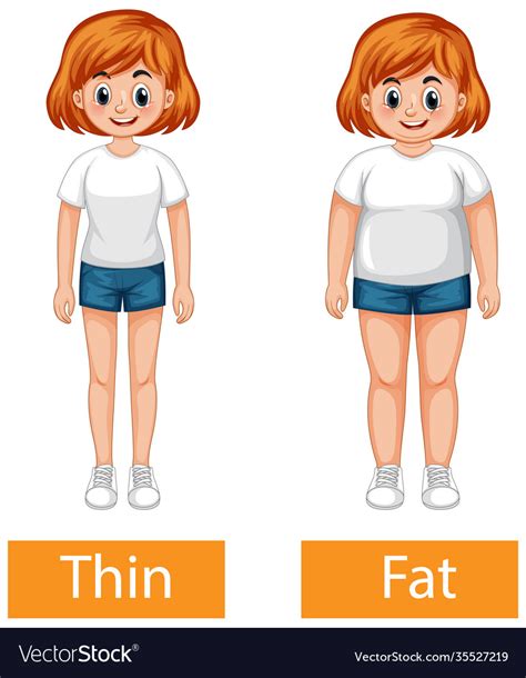 opposite adjectives words with thin and fat vector image
