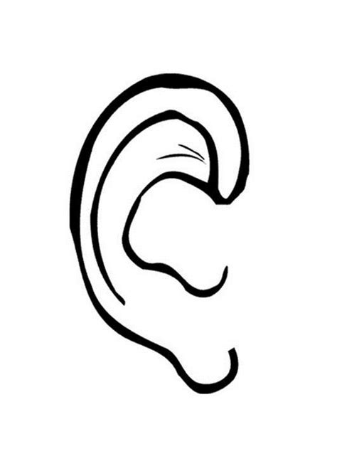 ear pictures  kids ear picture printable pictures super coloring