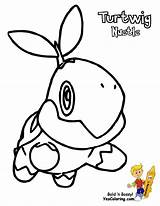 Turtwig Starter Empoleon Bubakids Pokémon Cosmog Tudodesenhos Bellow Resolutions sketch template