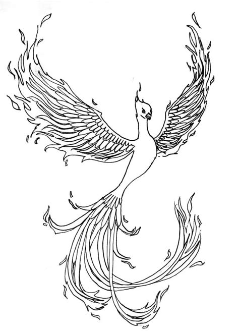 magnificent phoenix coloring page  printable coloring pages  kids