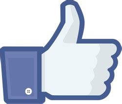 double  facebook likes   minutes  day