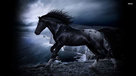 black  white horse wallpapers top  black  white horse backgrounds wallpaperaccess