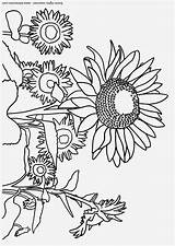 Zonnebloemen Girasoles Girasole Girasoli Kleurplaat Sonnenblume Kleurplaten Malvorlage Educima Tekeningen Tournesols sketch template