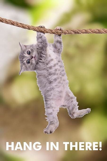 hang in there cat retro motivational poster 24x36 inch amazon ca