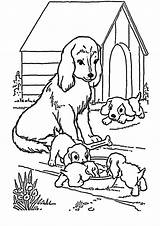 Hunde Malvorlagen Ausdrucken Malvorlage Coloring Kostenlos Kindern Dibujos sketch template