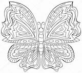Ausmalen Blanco Schmetterling Pintar Mariposa Ausmalbilder Lienzo sketch template