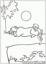 Coloring Bagheera Mowgli Shere Khan Baloo Battle Pages sketch template