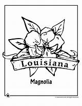 Coloring State Louisiana Flag Popular Minnesota Flower sketch template