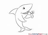 Shark Sheet Colouring Coloring Pages Title sketch template