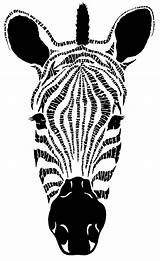 Zebra Head Coloring Face Pages Drawing Clipartmag Getcolorings Printable Print Inspiring sketch template