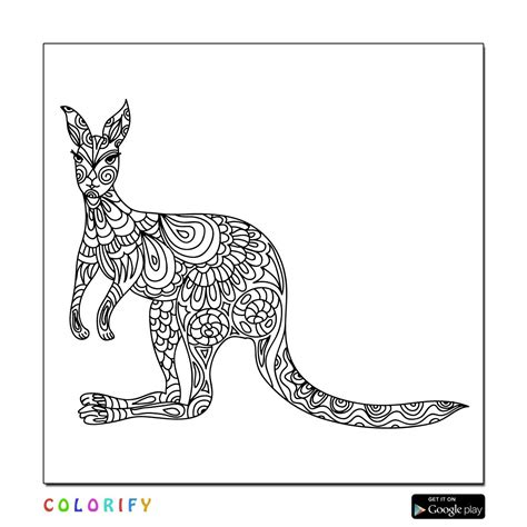 kangaroo color page coloring book pages coloring books