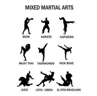 learn   top  martial arts styles  india martialartsingaporeorg
