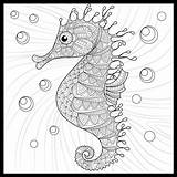Seahorse Colorme Magicmurals sketch template