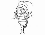 Cockroach Coloring Common sketch template