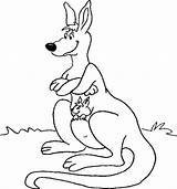 Kangaroo Coloring Coloring4free Joey sketch template