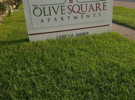 olive square apartments  la annie dr baton rouge la apartments  rent rentalscom