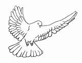 Pentecost Coloring Dove Getcolorings Holy Spirit Printable sketch template