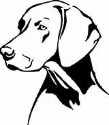 Weimaraner Vizsla Magyar Aufkleber Kopf Koira Perros Digitaldruck Silhouettes Silueta Weimar Hund Mascotas Braque Quilts Blanco Braco Hungarian Zeichnen Pintar sketch template