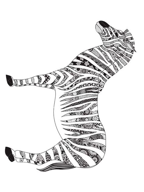 zebra coloring pages  adults