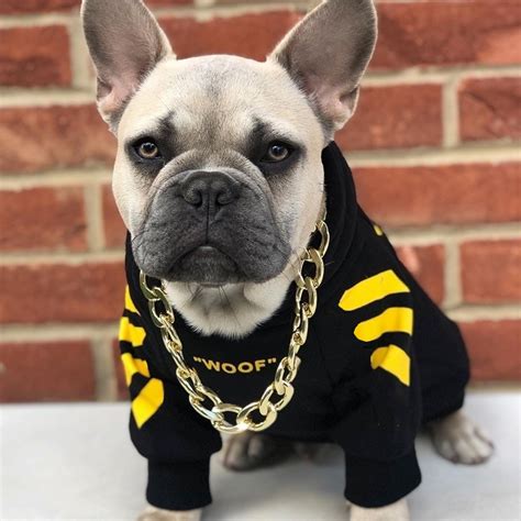 woof dog hoodie  frenchies  attitude  colors  frankie