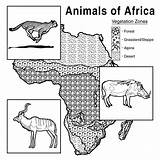 Coloring Africa Animals Pages African Vegetation Habitat Zone Chart Science Life Library Clipart sketch template