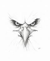 Eagle Angry Drawing Drawings Sketch Deviantart Eagles Pencil Mexican Head Bird Eye Face Tattoo Creepy Animals Getdrawings Sketches Choose Board sketch template