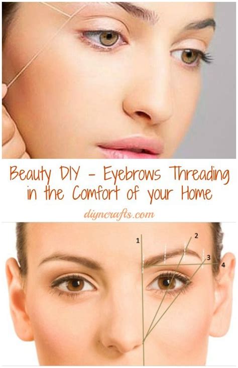 images  brazen brows  pinterest shape