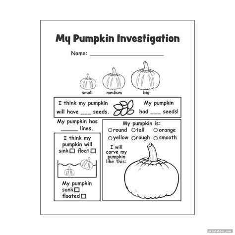 pumpkin investigation worksheet printable gridgitcom