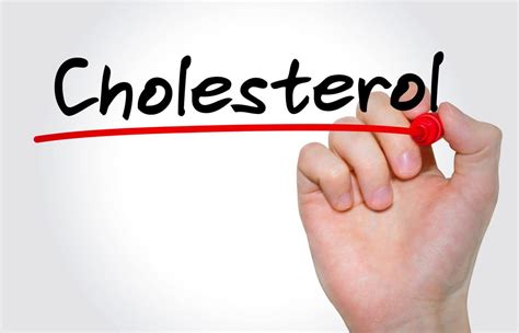 high cholesterol symptoms causes and treatment