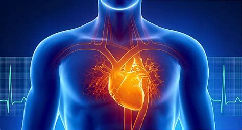 How Heart Disease Affects Your Body
