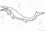 Ichthyosaur Dinosaurs sketch template