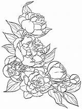 Coloring Peony Pages Flower Drawing Flowers Tattoo Color Floral Drawings Pattern Sketches Painting Getcolorings Patterns Colouring Line Visit Designs Printable sketch template
