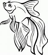 Fisch Fische Zeichnen Goldfish 2482 Goldfisch Umriss Pesci Colouring Clipartbest Malvorlage Ausmalbild Pesce Sheknows Fischlexikon Getdrawings Animali sketch template