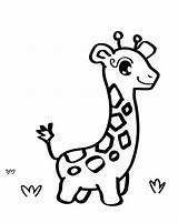 Mewarnai Sketsa Hewan Lucu Jerapah Tk Mudah Gajah Binatang Jirafa Marimewarnai Jirafas Terlengkap Sapi Kumpulan Utk Menggambar Berkaki Empat Giraffe sketch template