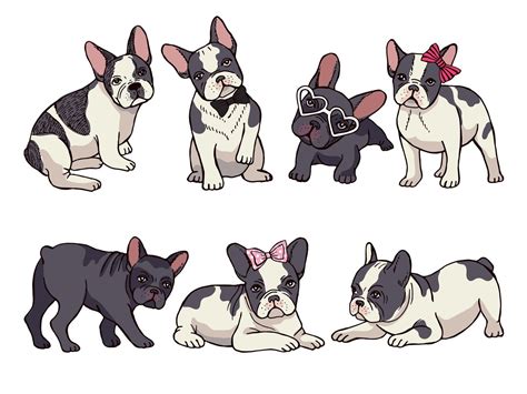 illustrations set  cute  french bulldog funny pictures  pup  onyx thehungryjpeg