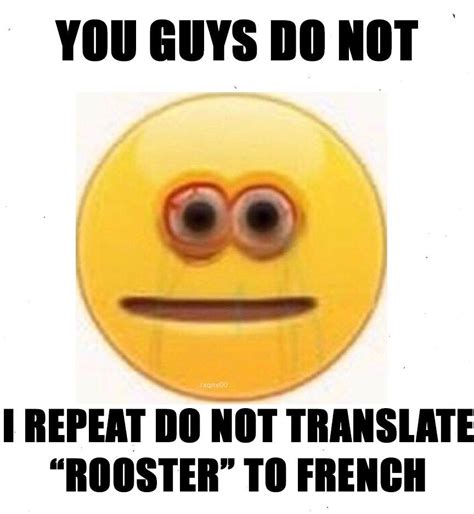 please do not translate r memes