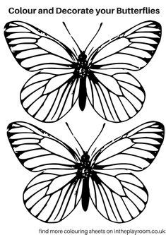butterfly wings pattern   printable outline  crafts creating