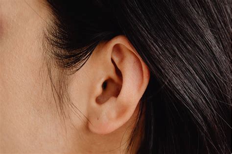 how acupuncture can keep your tinnitus at bay advanced