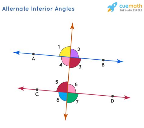 alternate interior angles definition features    find