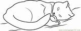 Cat Coloring Sleeping Staring Coloringpages101 Pages sketch template
