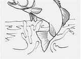 Coloring Pages Printable Fish Walleye Getcolorings Getdrawings Colorings sketch template