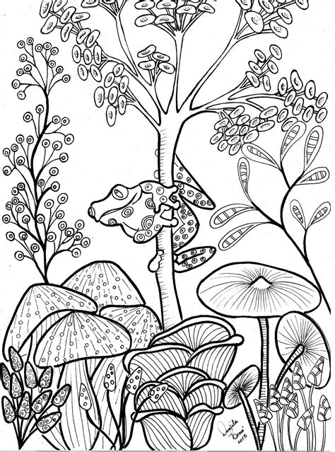 pin  floral coloring books