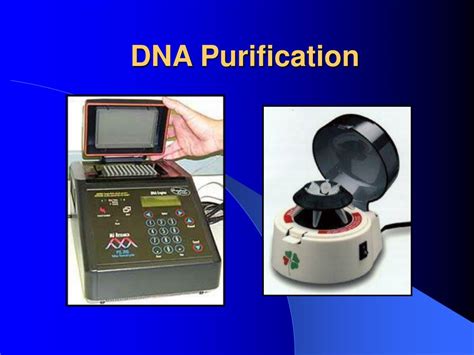 dna purification powerpoint    id