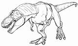 Albertosaurus sketch template