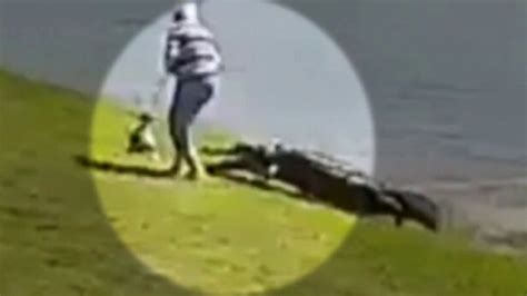 moments before fatal florida gator attack on 85 year old woman caught