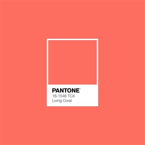 pantone s 2019 colour of the year has finally been revealed her ie