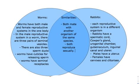similarities and differences comparing organisms