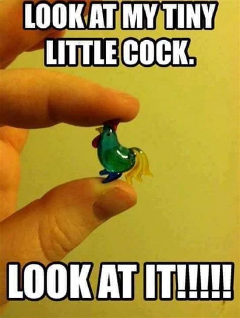 look at my tiny little cock meme funnycrazyviral funnycrazyviral pinterest meme memes